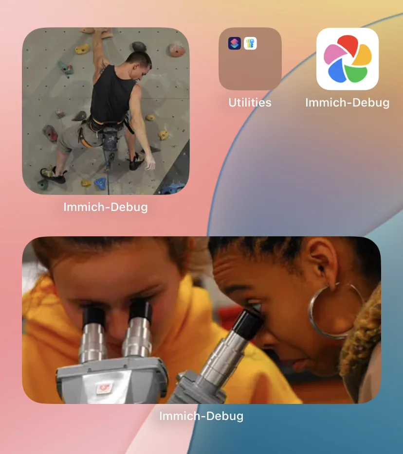 Mobile app home screen widget