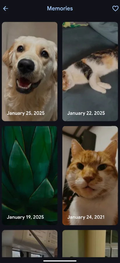 Memory page on the mobile app