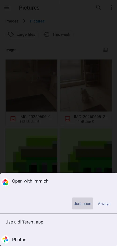 "Open with" dialog on Android showing the Immich app as a new option 