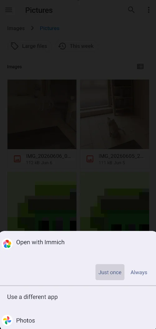 "Open with" dialog on Android showing the Immich app as a new option 